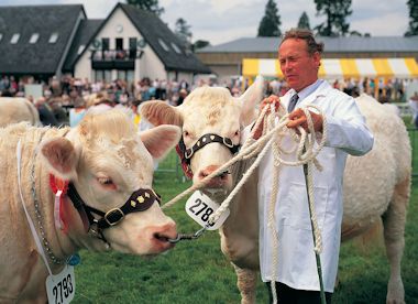 The Royal Welsh Show